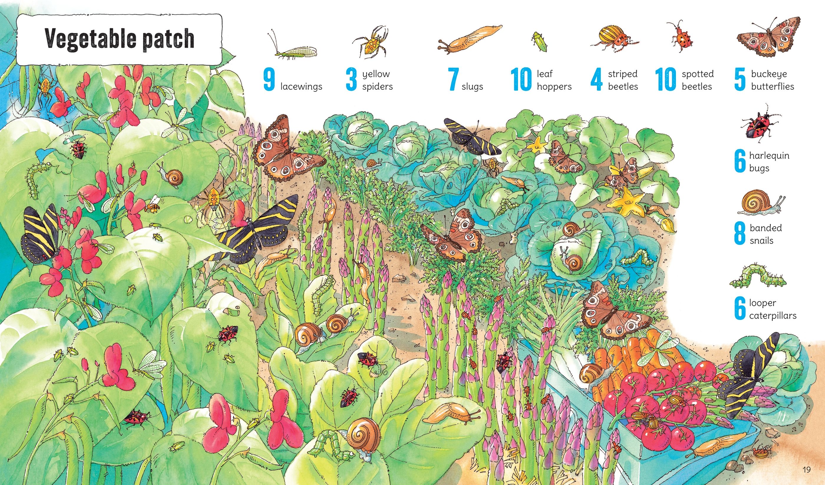 1001 Bugs to Spot - Image 2