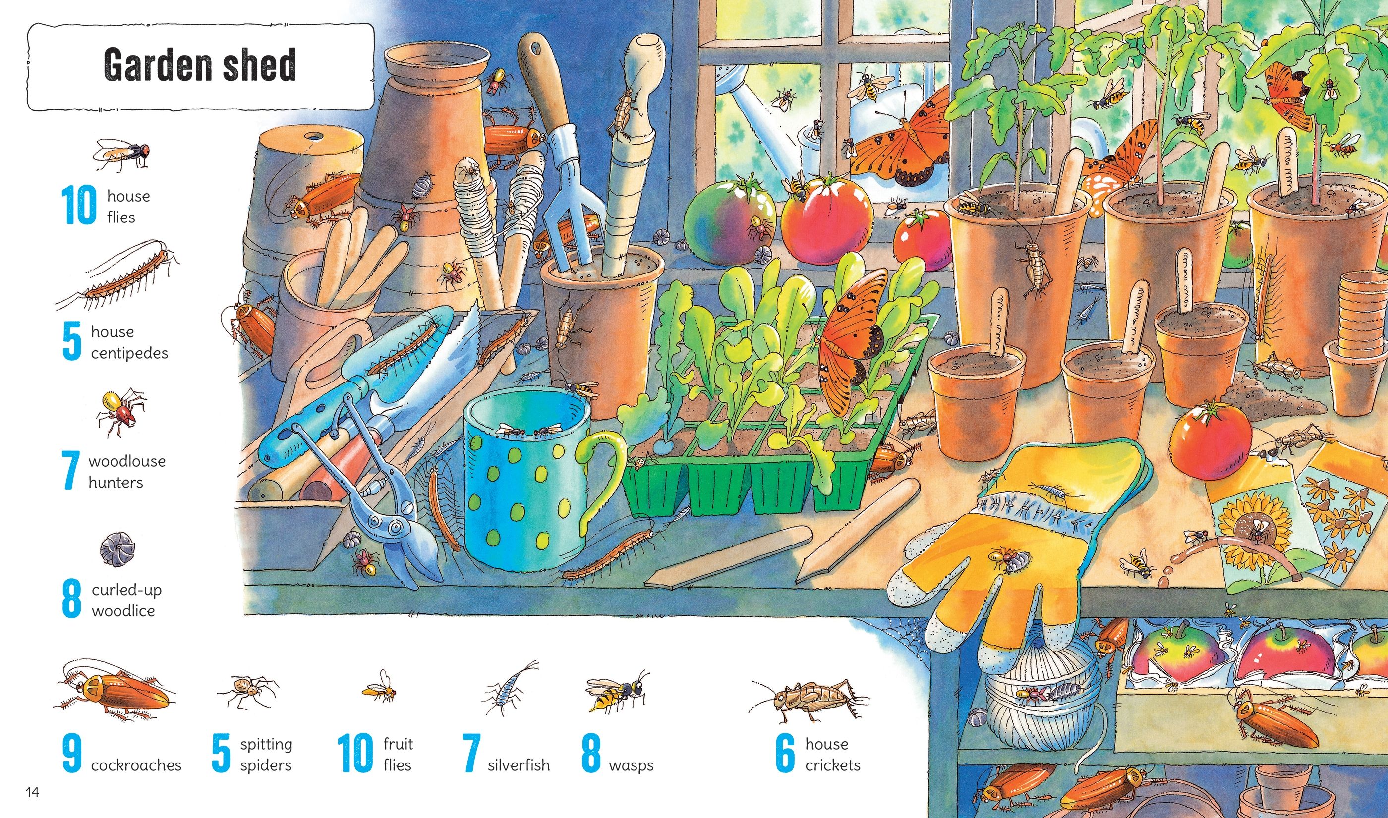 1001 Bugs to Spot - Image 4