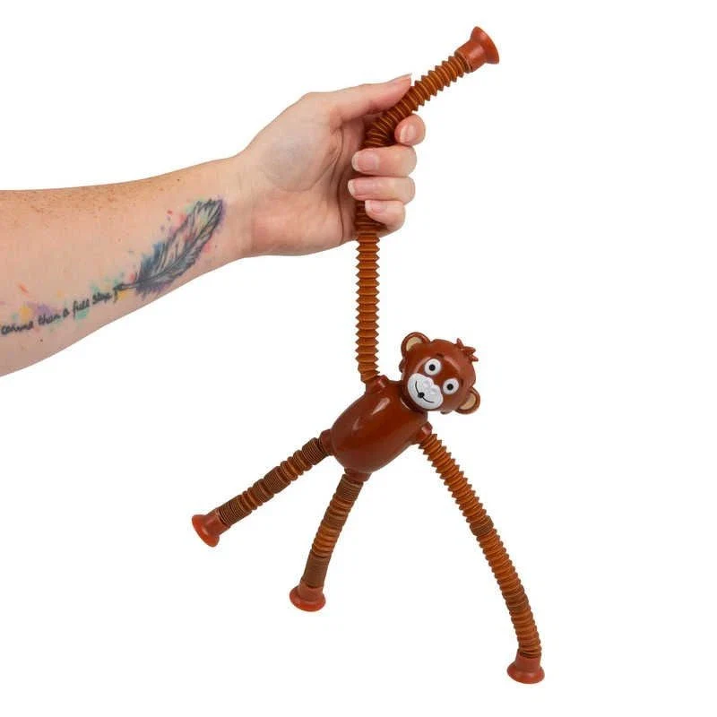 Animal Pop Tube - Image 4