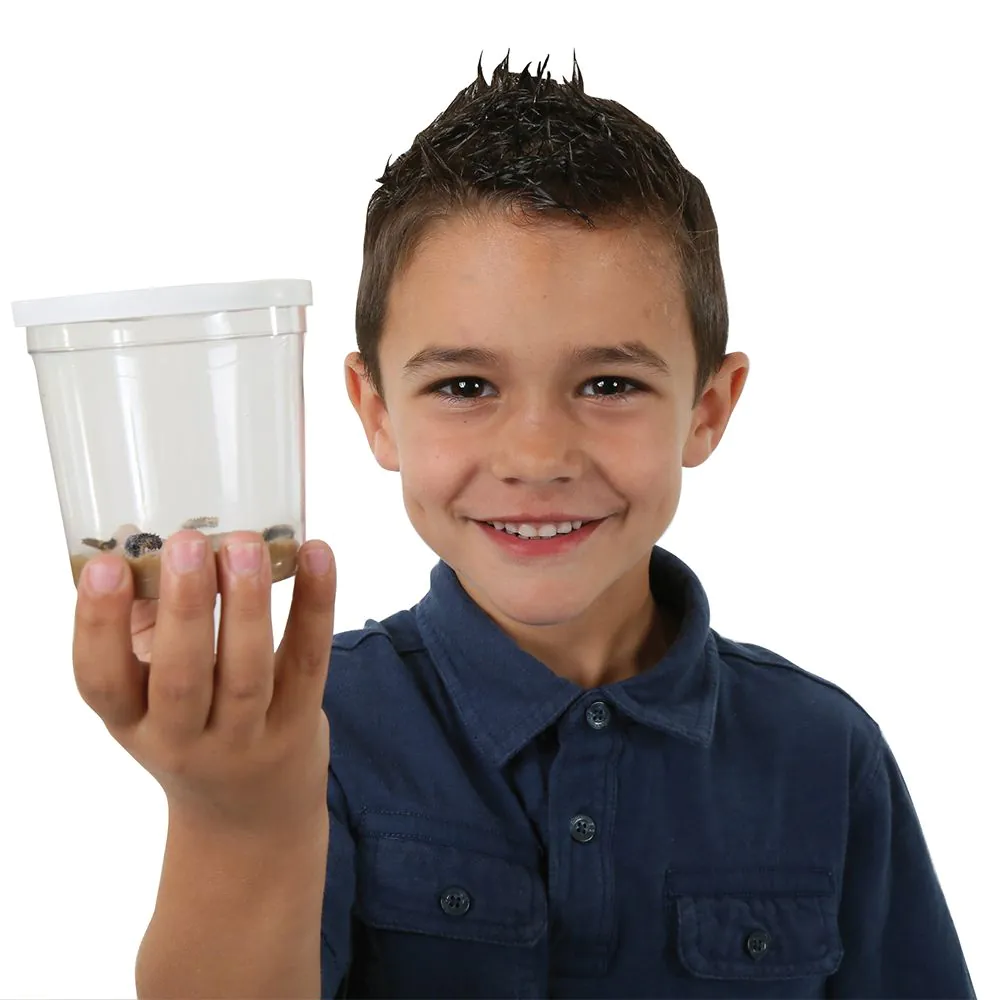 Butterfly Garden Home School Edition (Includes prepaid voucher to redeem for caterpillars) - Image 3