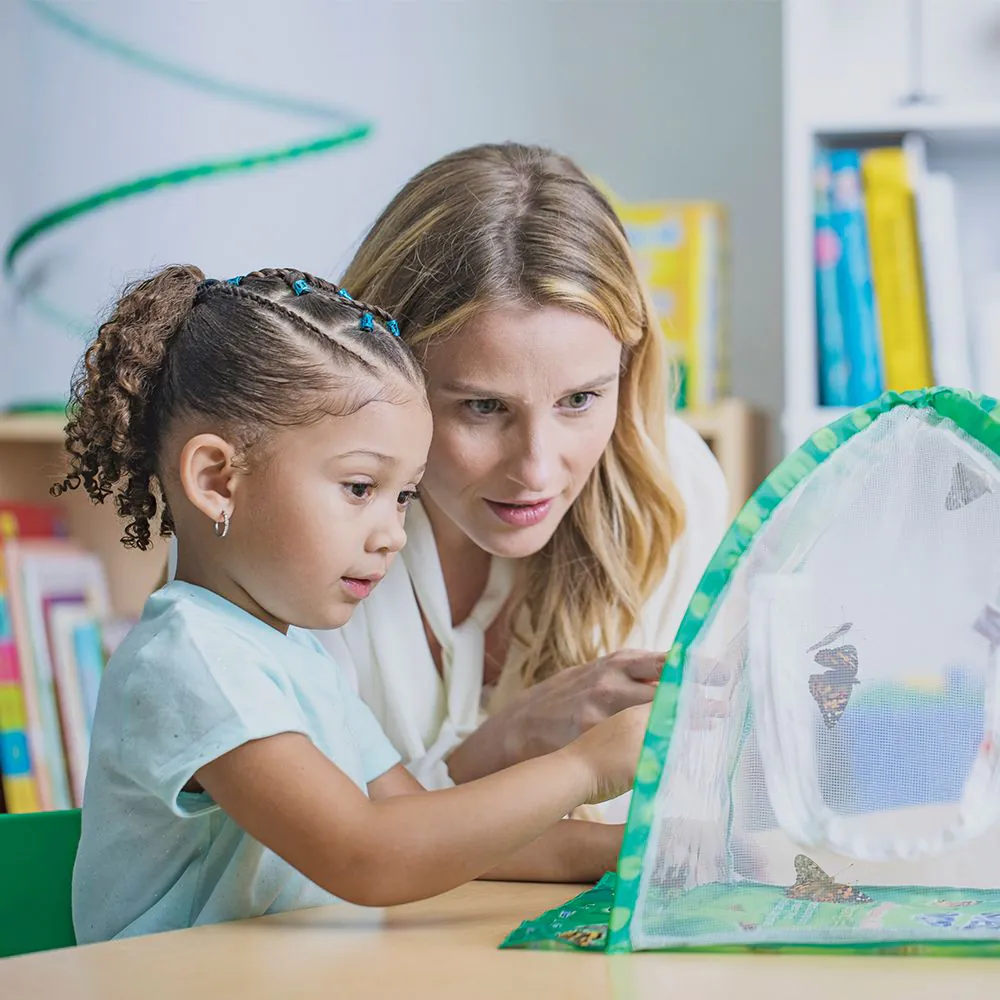 Butterfly Garden Home School Edition (Includes prepaid voucher to redeem for caterpillars) - Image 4