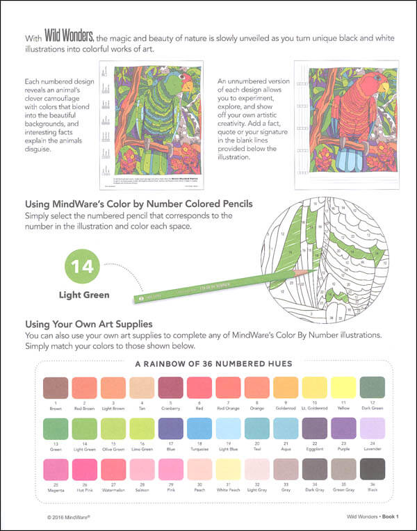 Colour By Number: Wild Wonders - Image 2