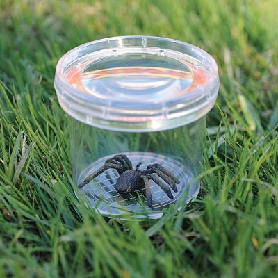 Geosafari Jr Bug Viewer - Image 2