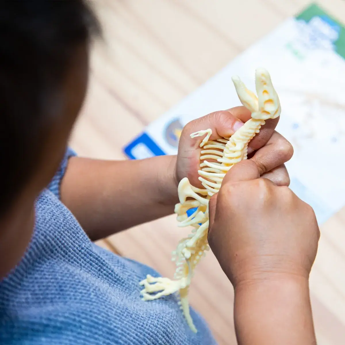 GeoSafari® Jr. Dino Discovery T-Rex - Image 5