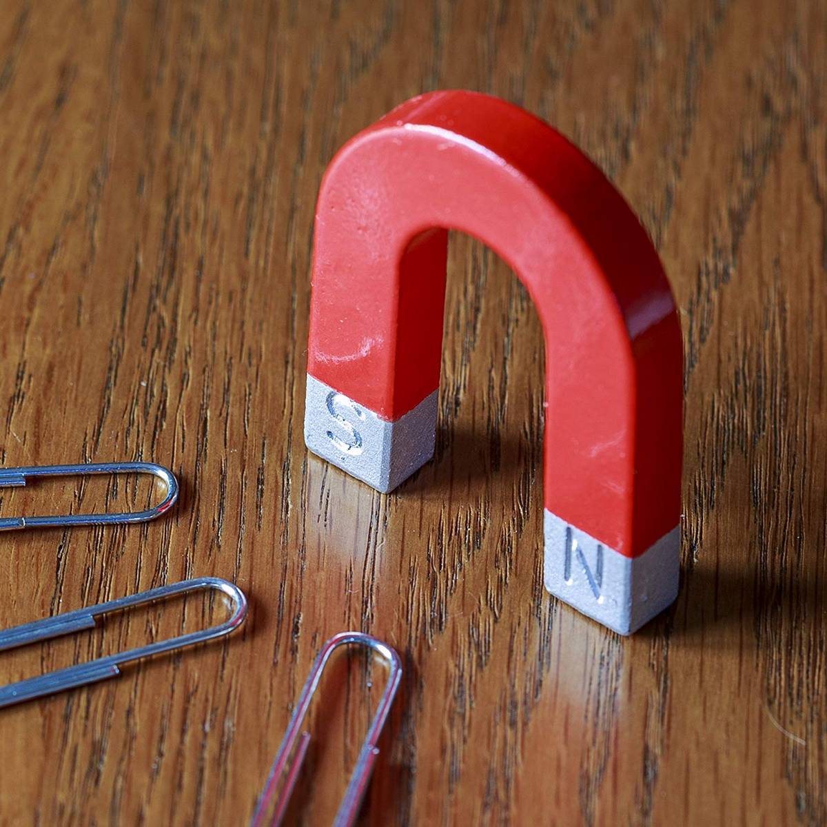 Horseshoe Magnet - Image 2