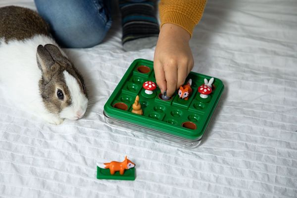 Jump IN Smart Games - Image 2