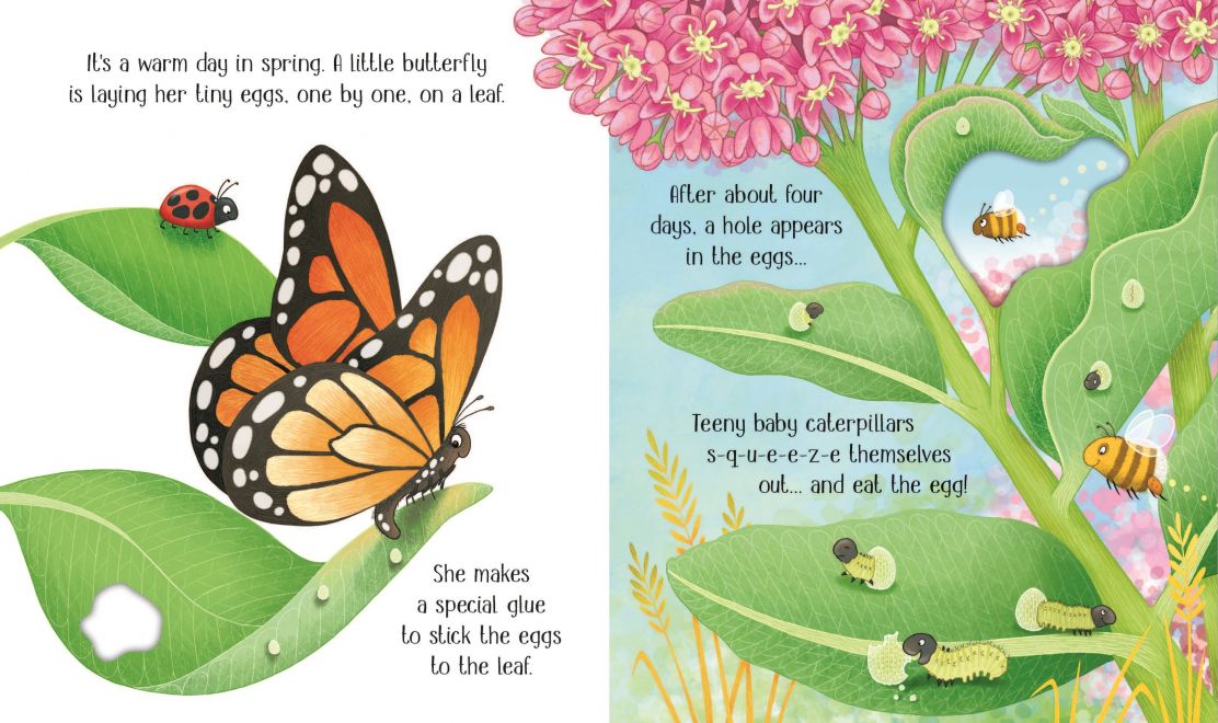 One Little Butterfly Usborne Life Cycles - Image 2