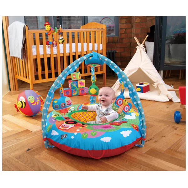 Playnest ® & Gym - Farm Galt - Image 3