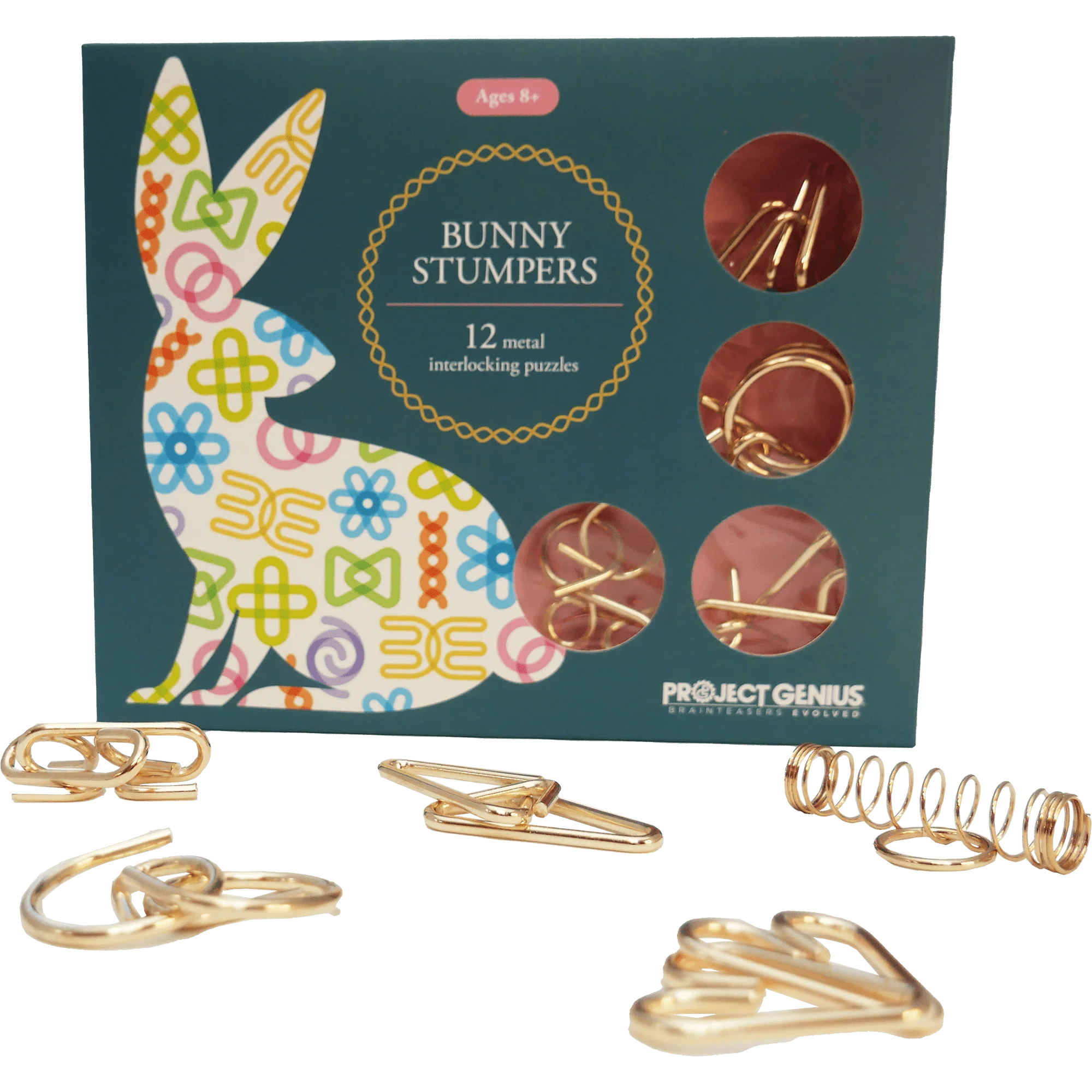 Project Genius Bunny Stumpers - Image 2