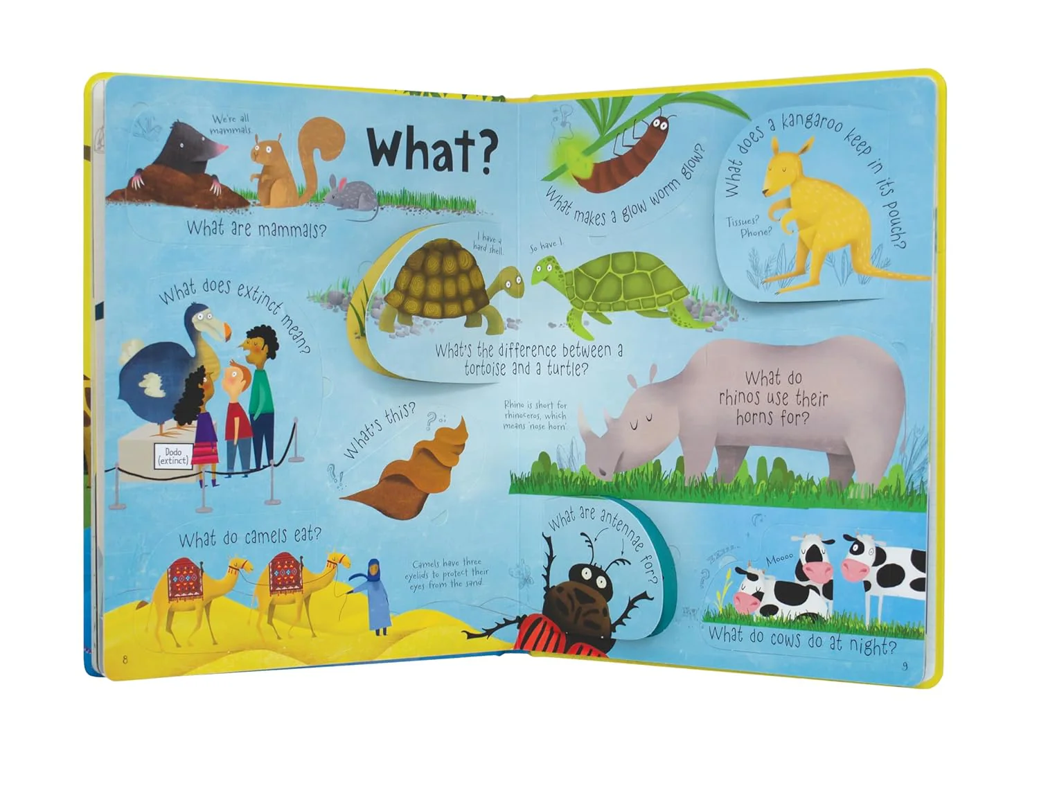 Questions and answers about animals - Image 3