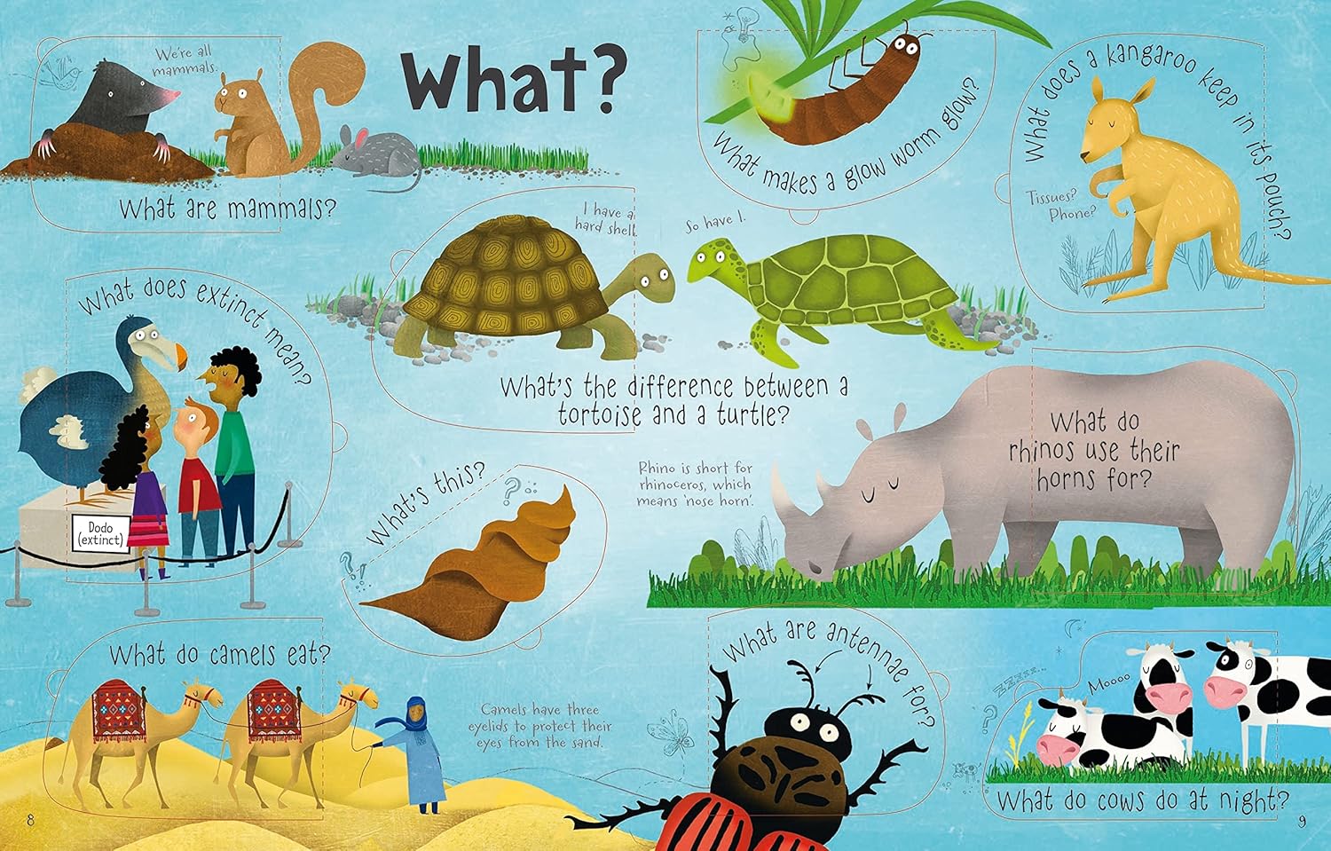 Questions and answers about animals - Image 4