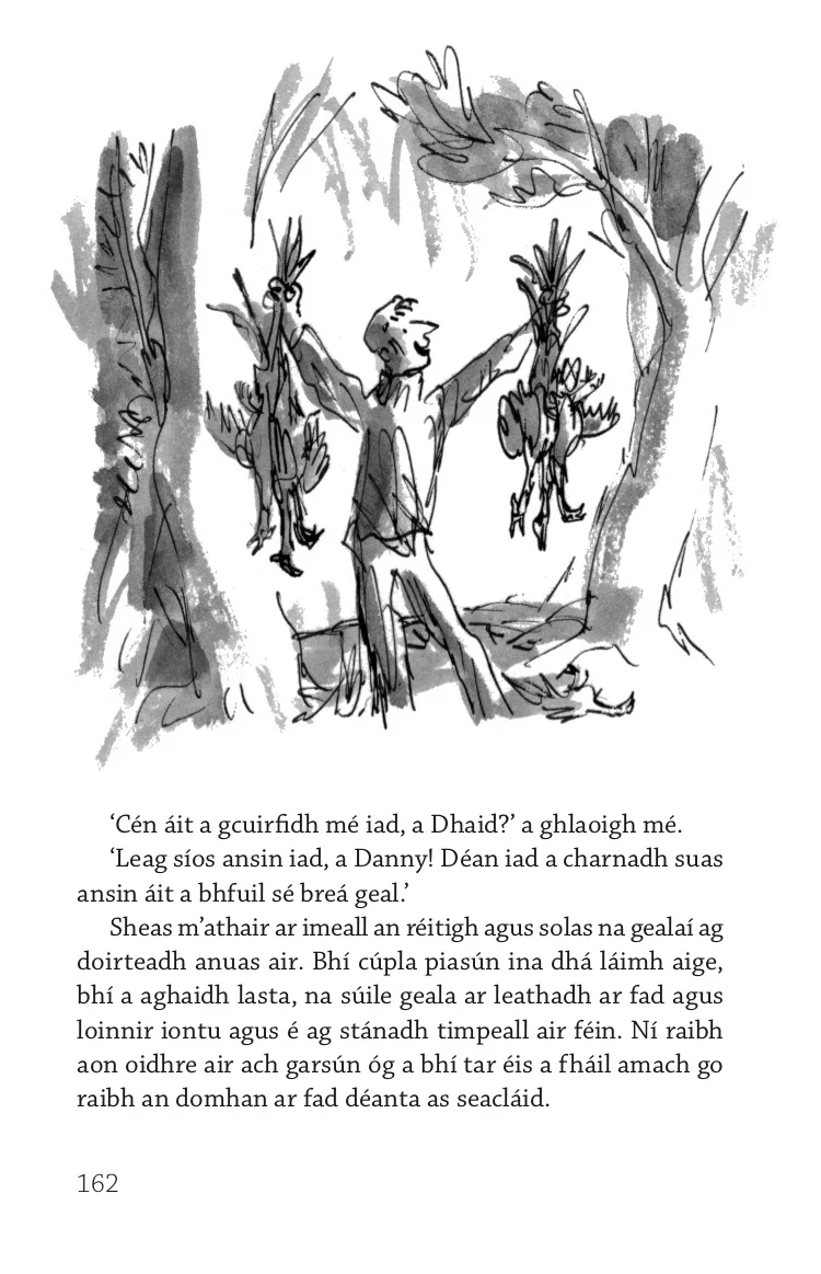 Roald Dahl Danny Seaimpín An Domhain - Image 2