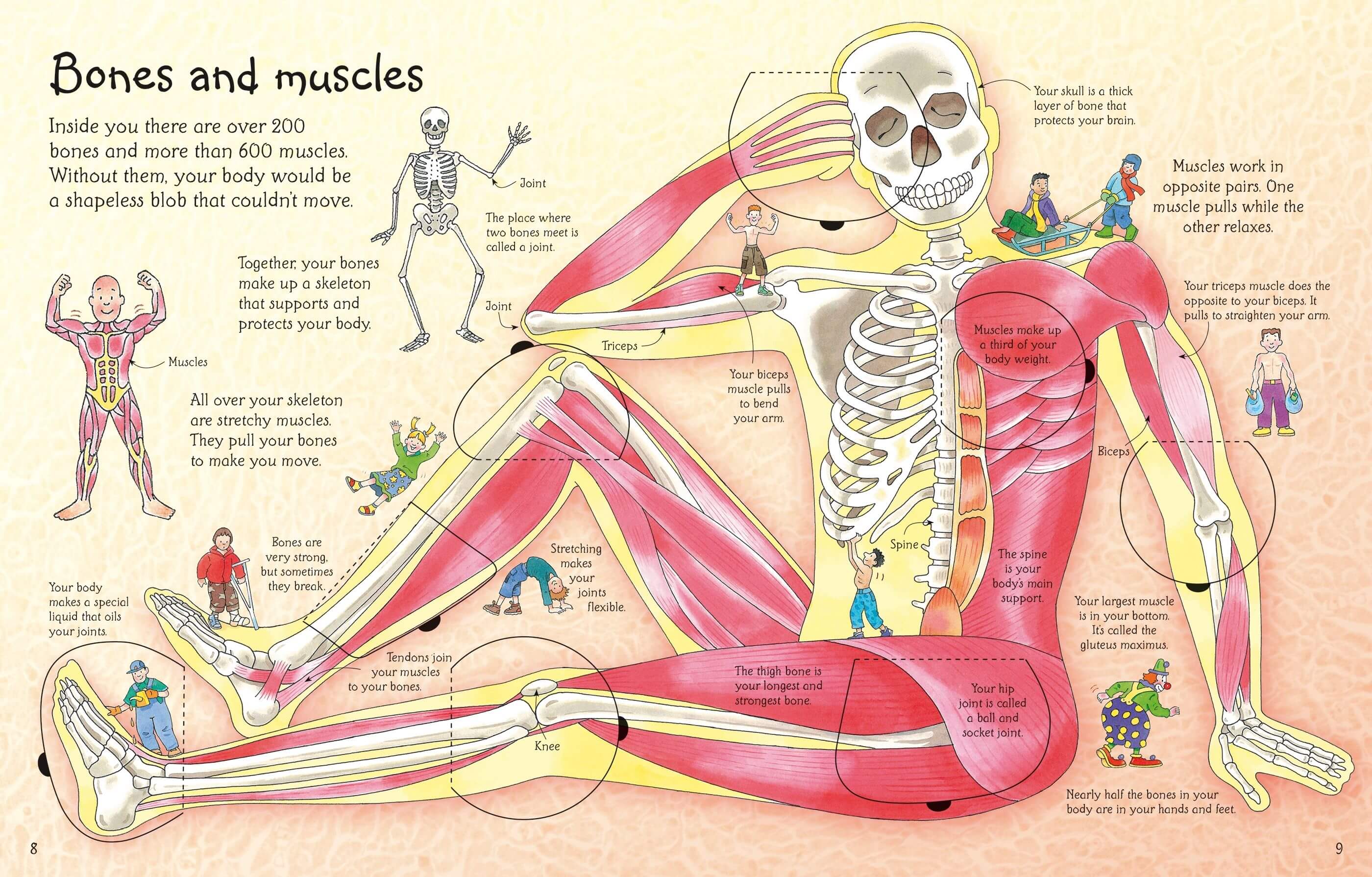 See Inside Your Body - Image 2