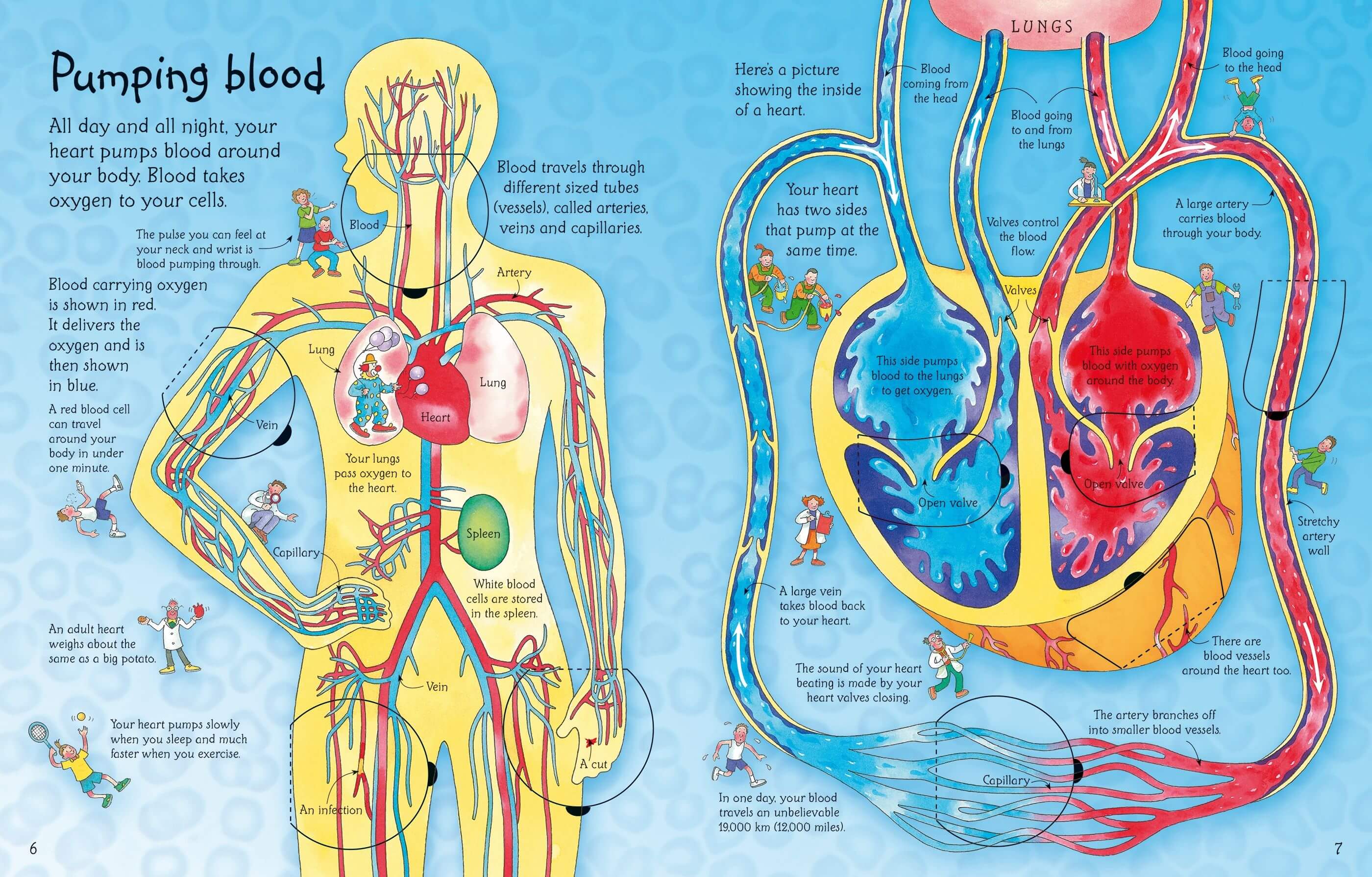 See Inside Your Body - Image 3