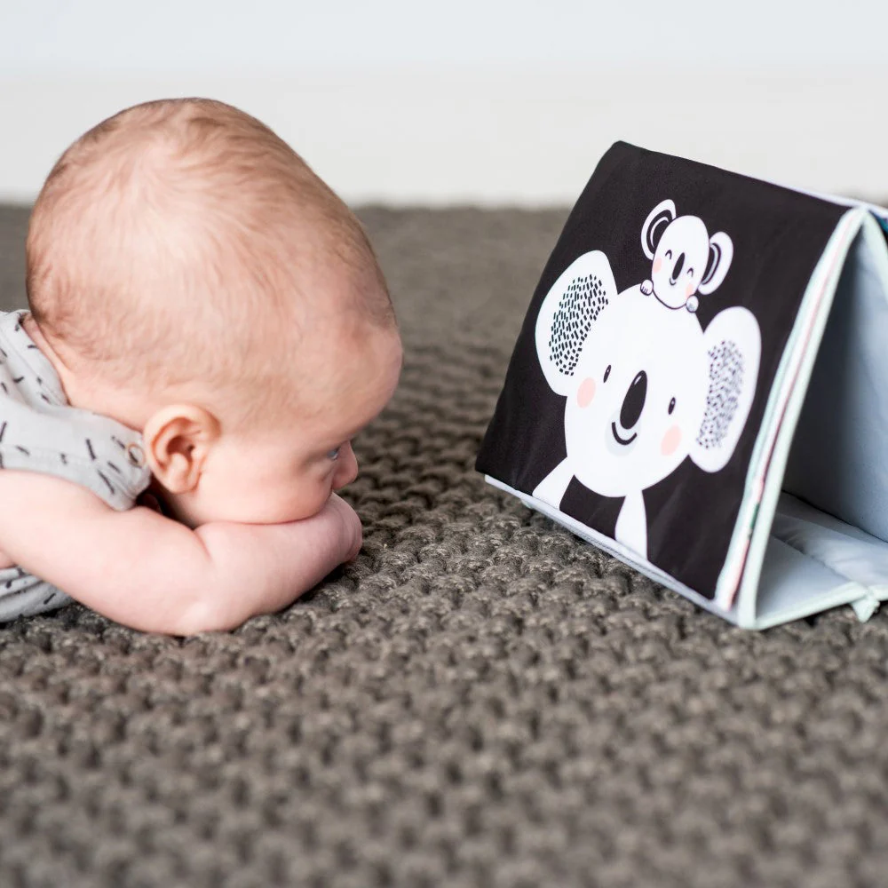 Taf Toys Kimmy Koala Tummy Time Book - Image 3