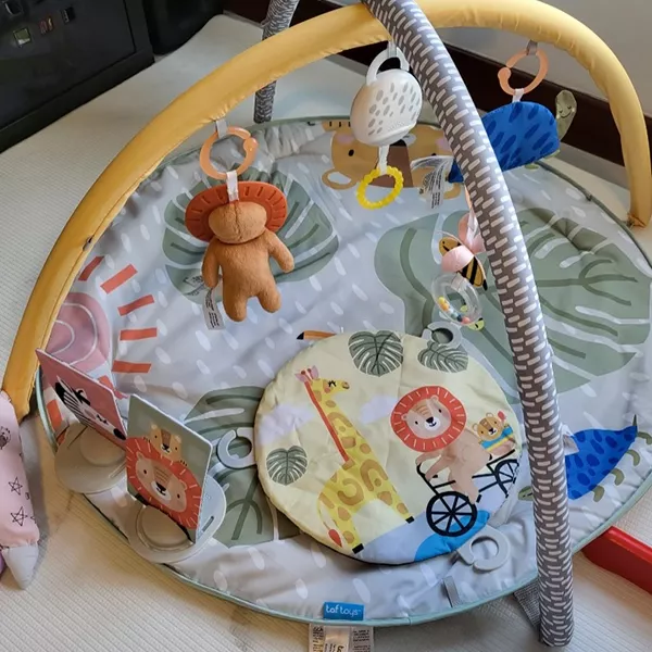 Taf Toys Savannah 360 Activity Play Gym - Image 3