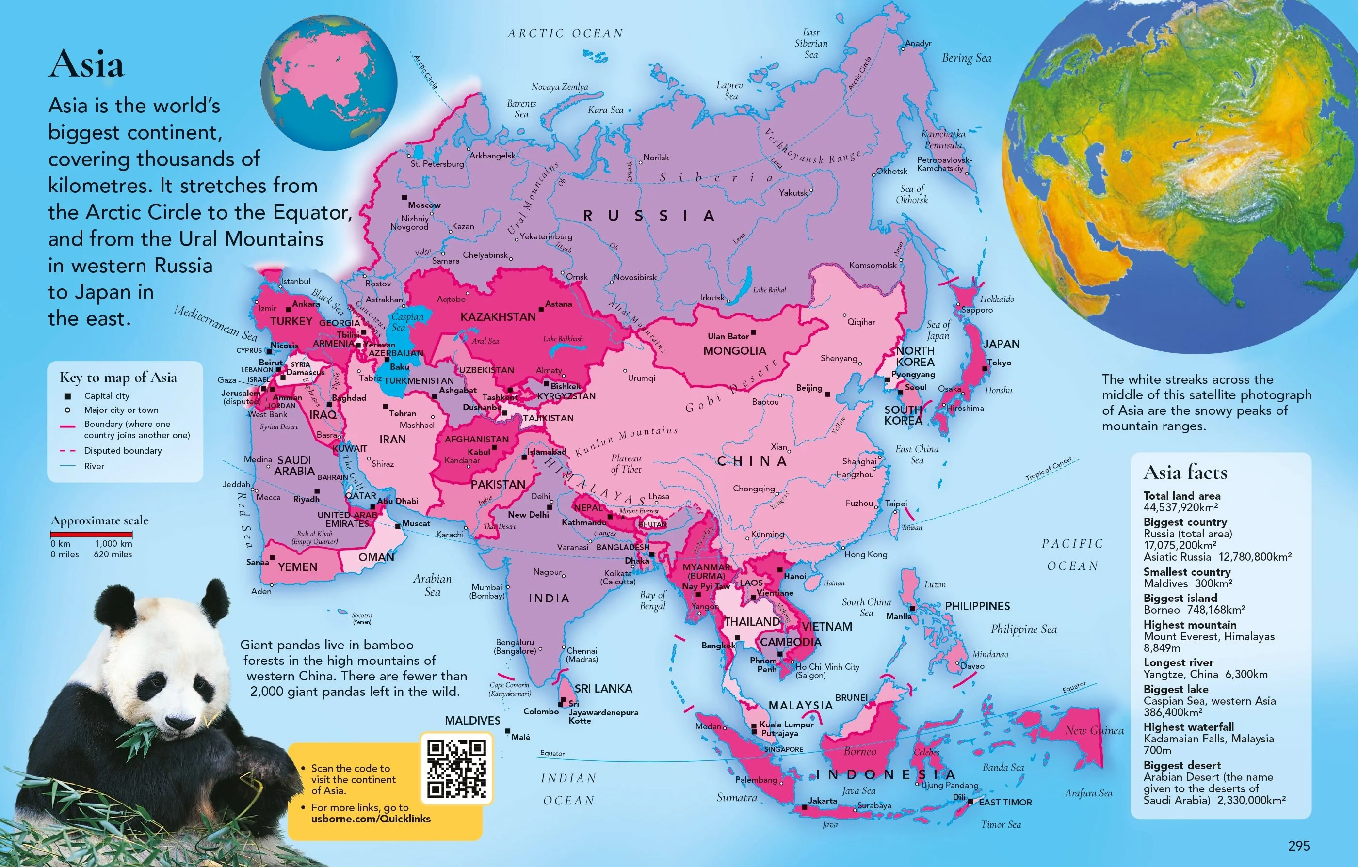 The Usborne Children's Encyclopedia - Image 2