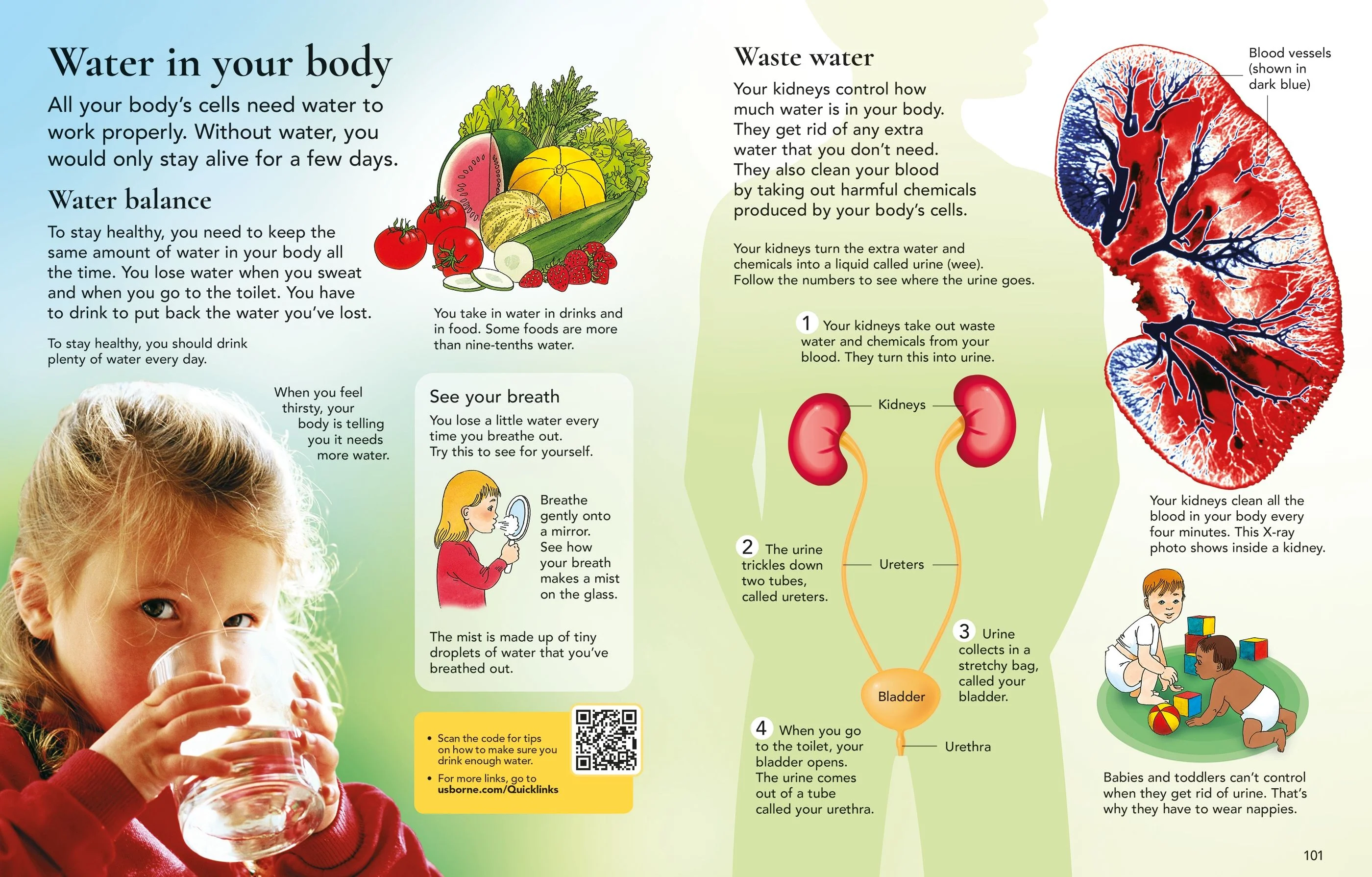 The Usborne Children's Encyclopedia - Image 4