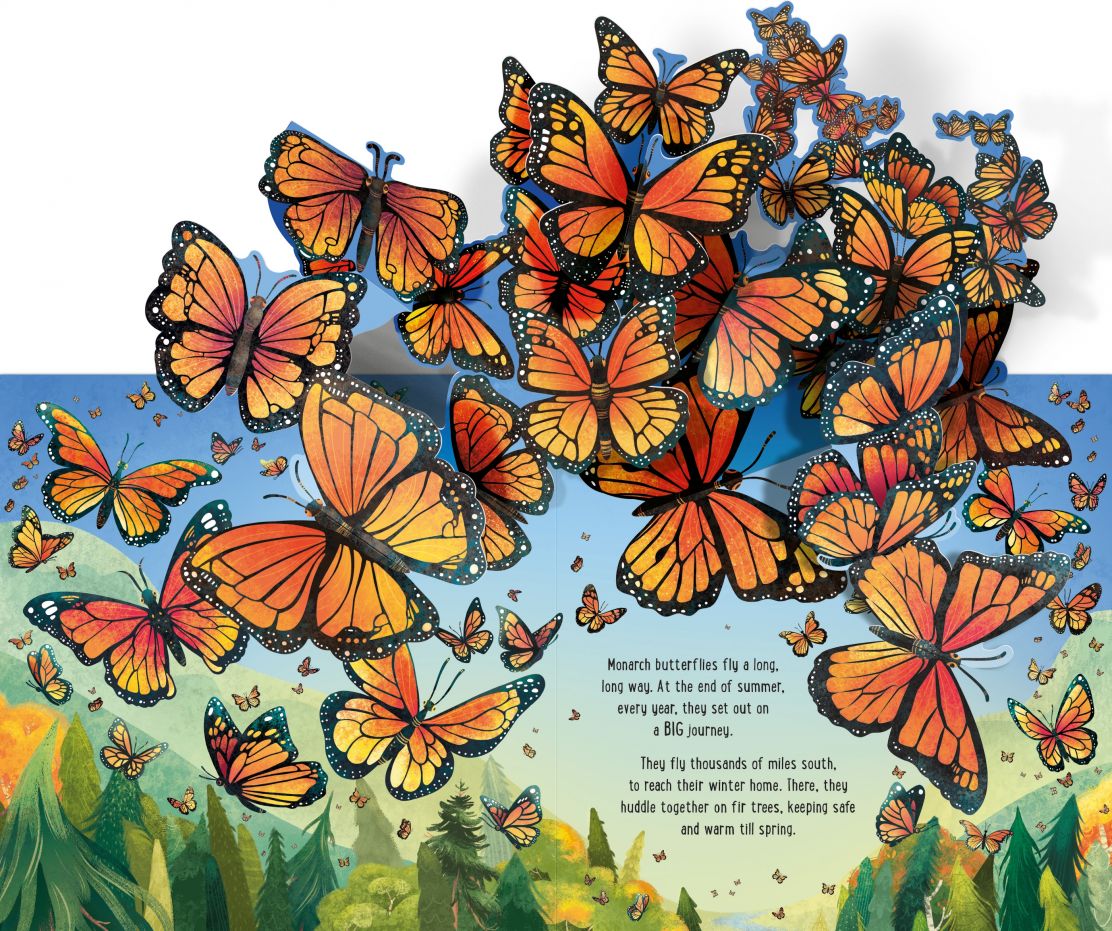 Usborne Pop-Up Butterflies - Image 2