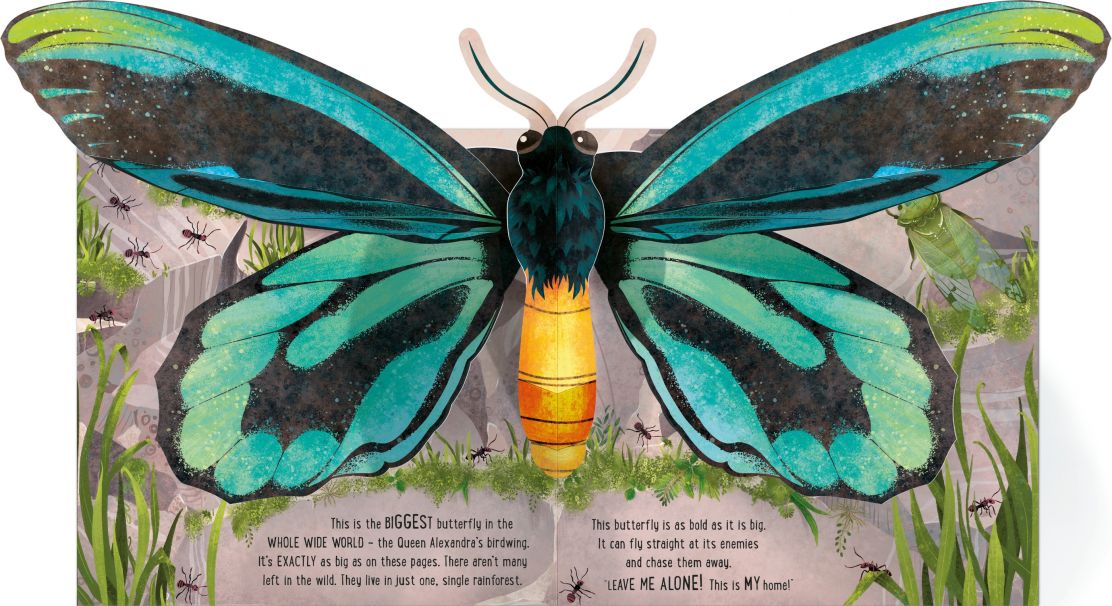 Usborne Pop-Up Butterflies - Image 3