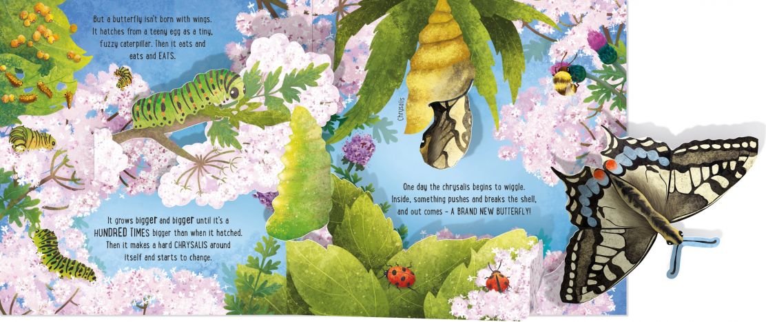 Usborne Pop-Up Butterflies - Image 4